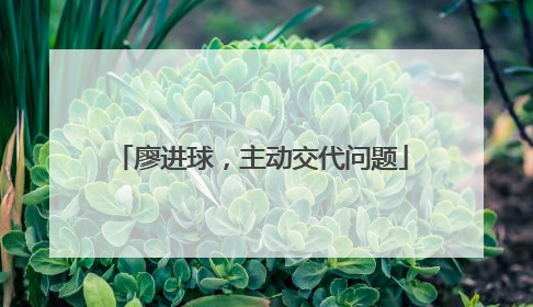 廖进球，主动交代问题