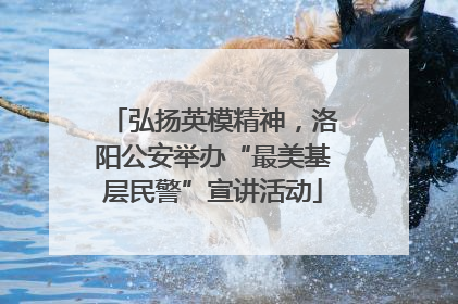弘扬英模精神，洛阳公安举办“最美基层民警”宣讲活动