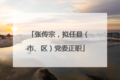 张传宗，拟任县（市、区）党委正职