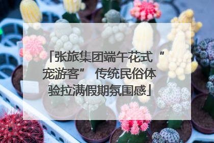 张旅集团端午花式“宠游客” 传统民俗体验拉满假期氛围感