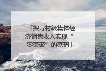 探寻村级集体经济销售收入实现“零突破”的密码