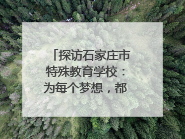 探访石家庄市特殊教育学校：为每个梦想，都插上“翅膀”