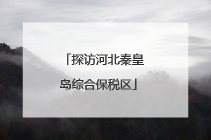 探访河北秦皇岛综合保税区