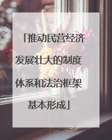 推动民营经济发展壮大的制度体系和法治框架基本形成