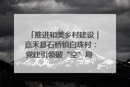 推进和美乡村建设｜嘉禾县石桥镇白珠村：党建引领破“空”局 乡贤聚力绘就新图景