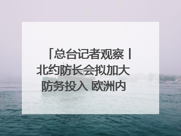 总台记者观察丨北约防长会拟加大防务投入 欧洲内部分歧难掩