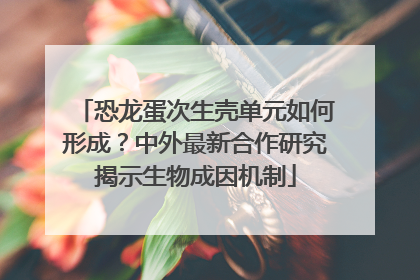 恐龙蛋次生壳单元如何形成？中外最新合作研究揭示生物成因机制