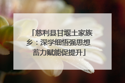 慈利县甘堰土家族乡：深学细悟强思想 蓄力赋能促提升