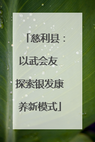 慈利县：以武会友 探索银发康养新模式