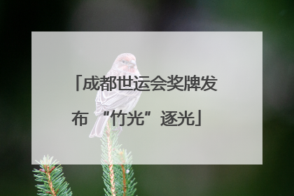 成都世运会奖牌发布 “竹光”逐光