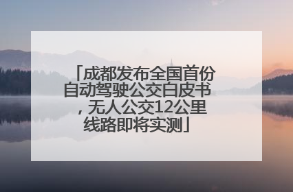 成都发布全国首份自动驾驶公交白皮书，无人公交12公里线路即将实测