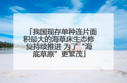 我国现存单种连片面积最大的海草床生态修复持续推进 为了“海底草原”更繁茂