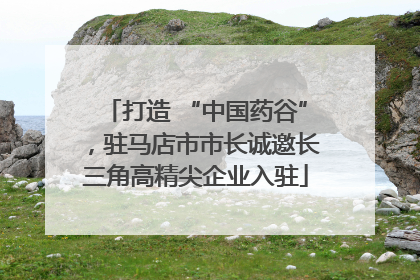 打造 “中国药谷”，驻马店市市长诚邀长三角高精尖企业入驻