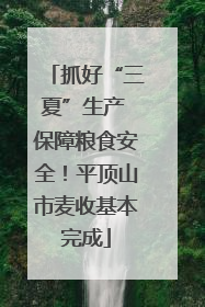 抓好“三夏”生产 保障粮食安全！平顶山市麦收基本完成