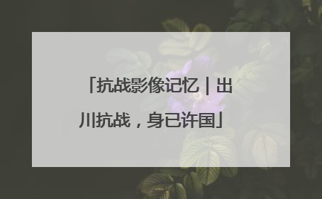 抗战影像记忆｜出川抗战，身已许国