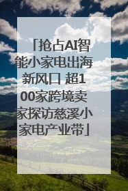 抢占AI智能小家电出海新风口 超100家跨境卖家探访慈溪小家电产业带