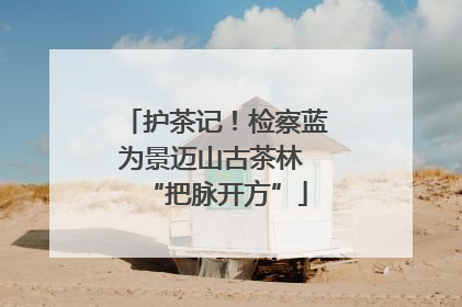 护茶记！检察蓝为景迈山古茶林 “把脉开方”