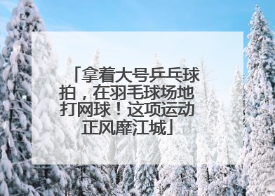 拿着大号乒乓球拍，在羽毛球场地打网球！这项运动正风靡江城