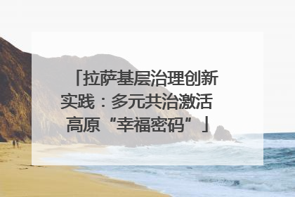 拉萨基层治理创新实践：多元共治激活高原“幸福密码”
