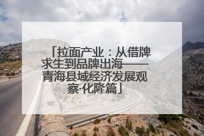 拉面产业：从借牌求生到品牌出海——青海县域经济发展观察·化隆篇