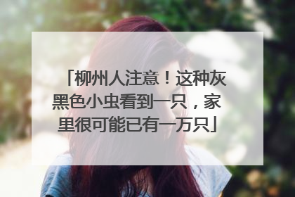 柳州人注意！这种灰黑色小虫看到一只，家里很可能已有一万只