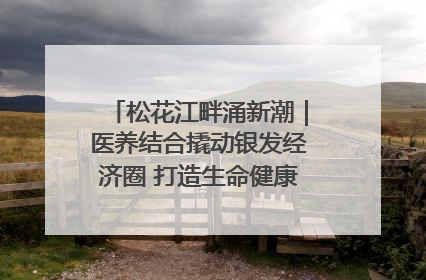 松花江畔涌新潮｜医养结合撬动银发经济圈 打造生命健康产业新样本