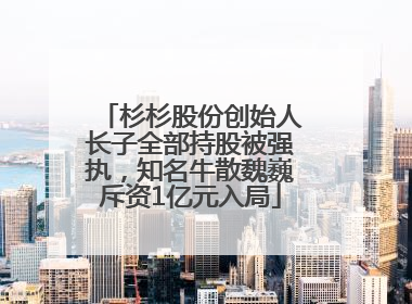 杉杉股份创始人长子全部持股被强执，知名牛散魏巍斥资1亿元入局