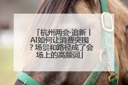 杭州两会·追新丨AI如何让消费突围？场景和路径成了会场上的高频词