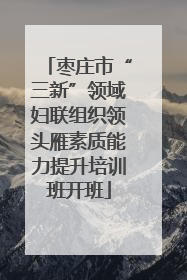 枣庄市“三新”领域妇联组织领头雁素质能力提升培训班开班