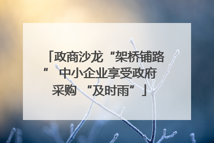 政商沙龙“架桥铺路” 中小企业享受政府采购 “及时雨”