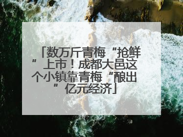 数万斤青梅“抢鲜”上市！成都大邑这个小镇靠青梅“酿出”亿元经济