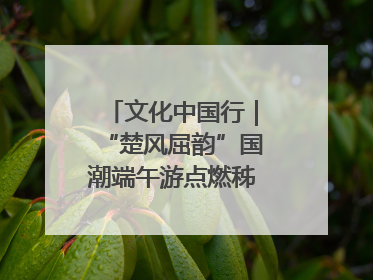 文化中国行｜“楚风屈韵”国潮端午游点燃秭归夜经济