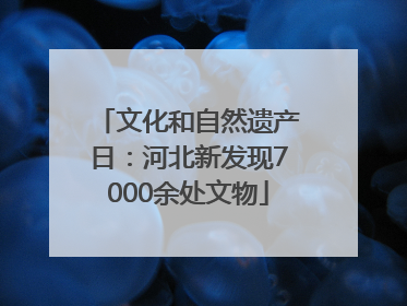 文化和自然遗产日：河北新发现7000余处文物