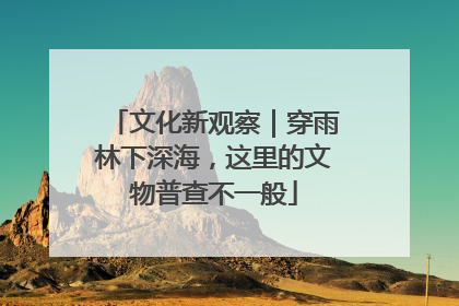 文化新观察｜穿雨林下深海，这里的文物普查不一般