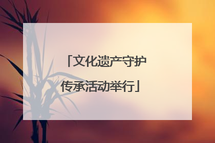 文化遗产守护传承活动举行