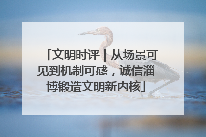 文明时评｜从场景可见到机制可感，诚信淄博锻造文明新内核