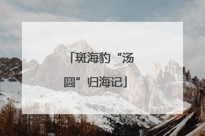 斑海豹“汤圆”归海记