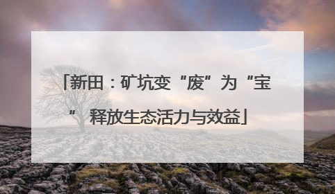 新田：矿坑变“废”为“宝” 释放生态活力与效益