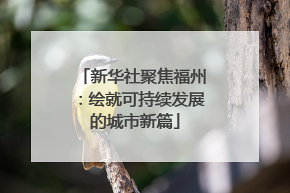 新华社聚焦福州：绘就可持续发展的城市新篇