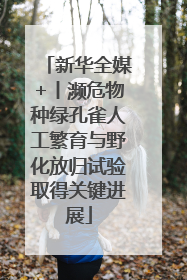 新华全媒+丨濒危物种绿孔雀人工繁育与野化放归试验取得关键进展