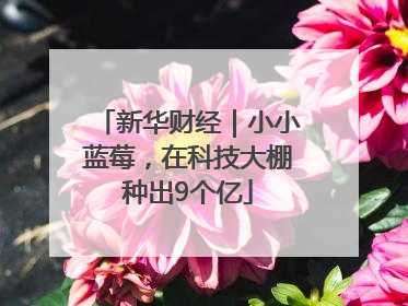 新华财经｜小小蓝莓，在科技大棚种出9个亿