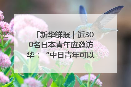 新华鲜报｜近300名日本青年应邀访华：“中日青年可以创造更好的未来”