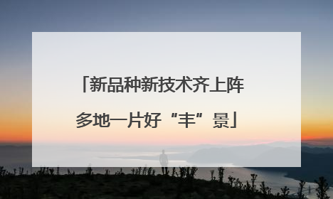 新品种新技术齐上阵 多地一片好“丰”景