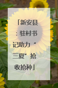 新安县：驻村书记助力“三夏”抢收抢种