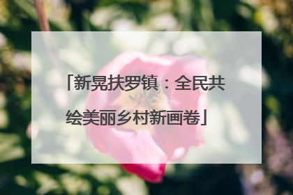 新晃扶罗镇：全民共绘美丽乡村新画卷