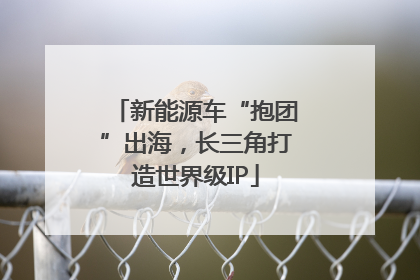 新能源车“抱团”出海，长三角打造世界级IP