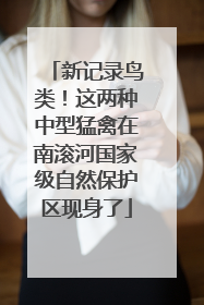 新记录鸟类！这两种中型猛禽在南滚河国家级自然保护区现身了