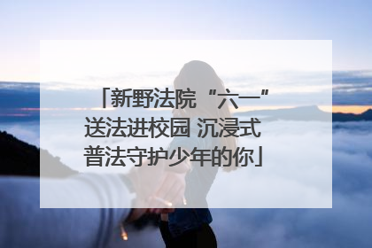 新野法院“六一”送法进校园 沉浸式普法守护少年的你