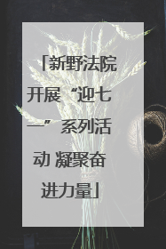 新野法院开展“迎七一”系列活动 凝聚奋进力量