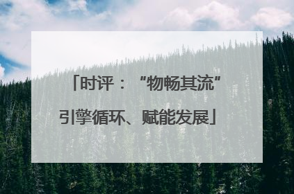 时评：“物畅其流”引擎循环、赋能发展